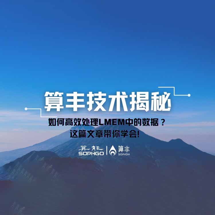 算豐技術(shù)揭秘｜如何高效處理LMEM中的數據？這篇文章帶你學(xué)會(huì )！